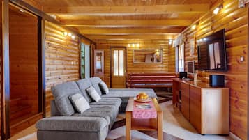 Télévision, cheminée, lecteur de DVD