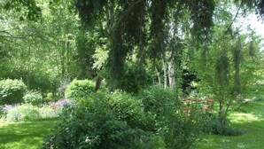 A lush garden with dense foliage and a variety of plants.