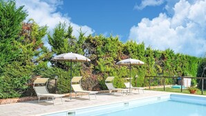 A swimming pool with lounge chairs and umbrellas, surrounded by greenery.