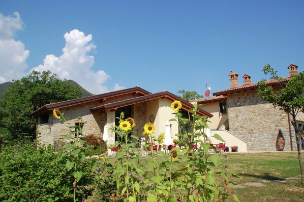 Ulkopuoli