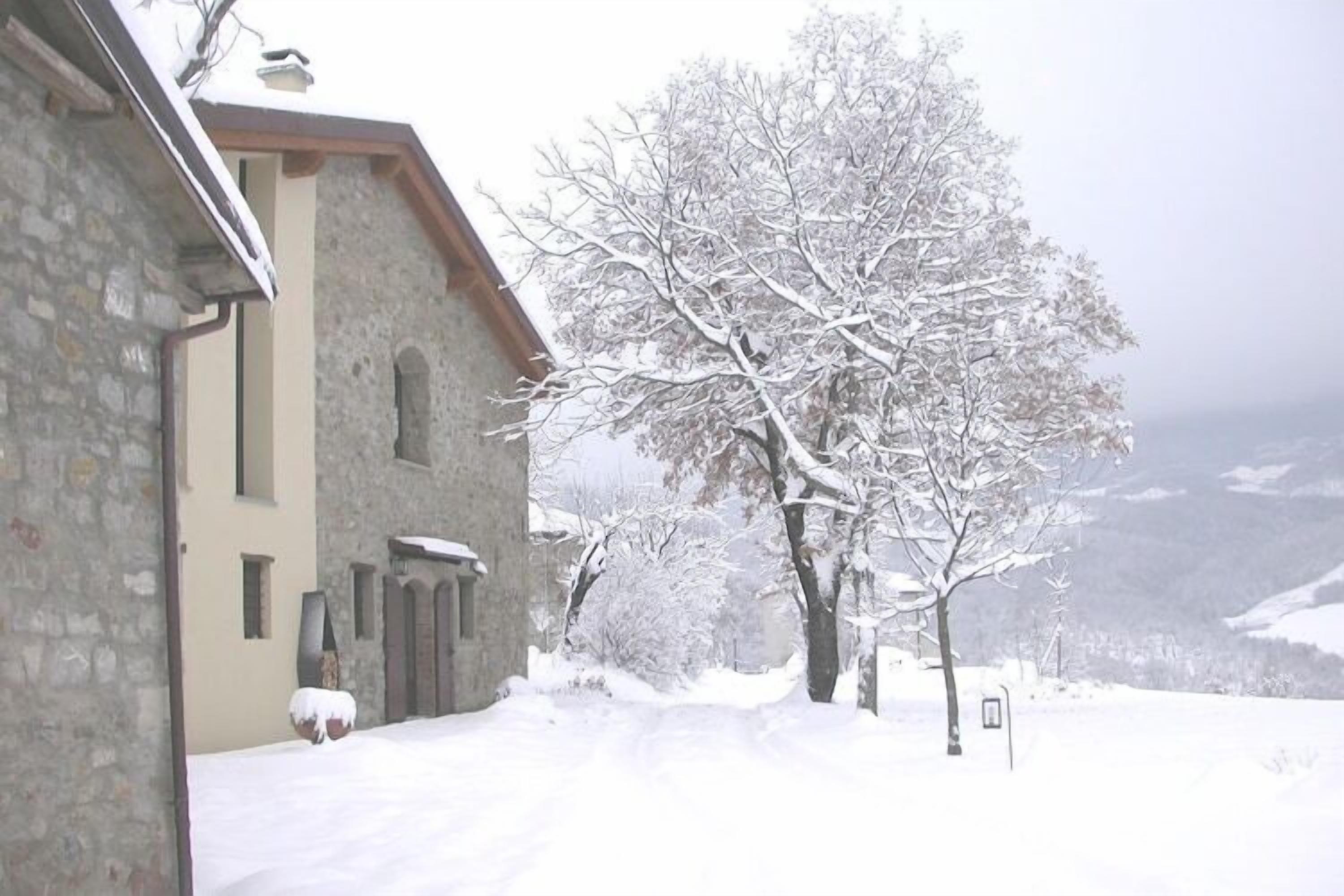 Udendørsområde