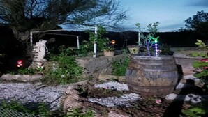 Un jardin agrémenté d’une cuve en pierre, de plantes en pot et d’un mur de pierres.