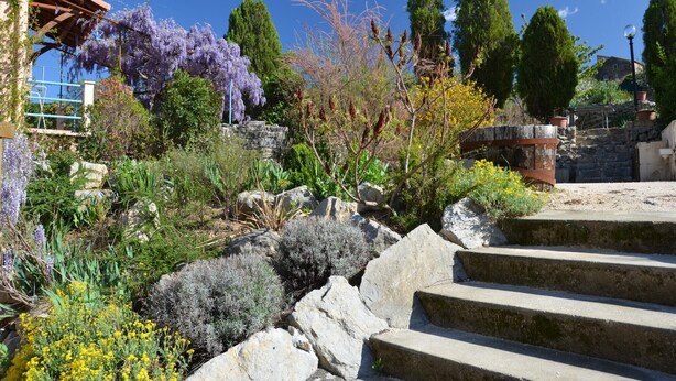 A garden with stone steps leading up to a building with a blue railing.