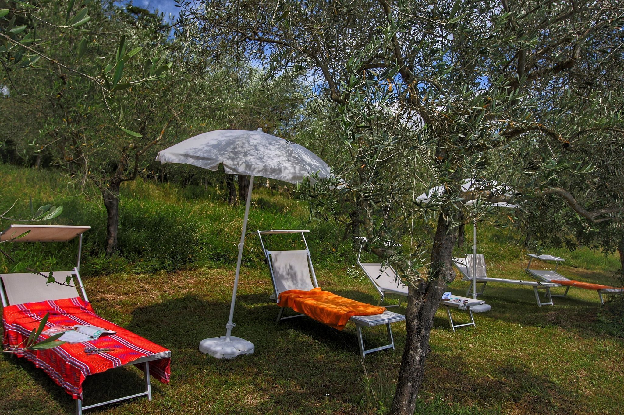 Parco della struttura