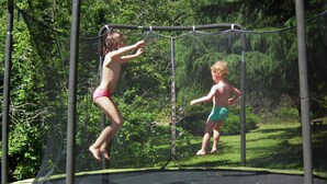 A trampoline with a safety net, surrounded by greenery.