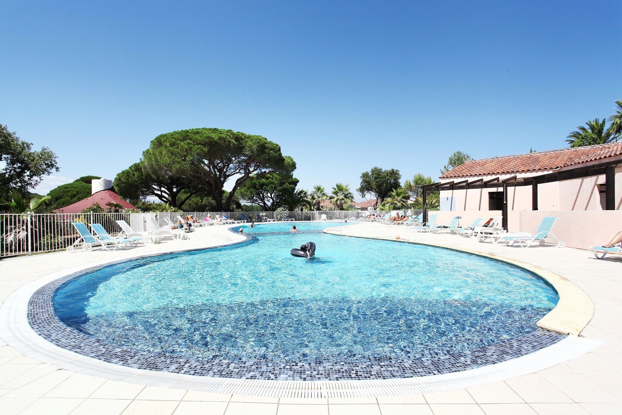A large, clear swimming pool with lounge chairs and a palm tree in the background.