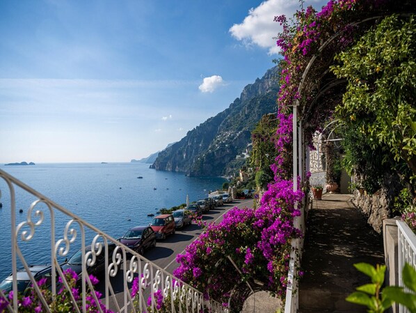 A coastal street with parked cars, a metal railing, and vibrant purple flowers.