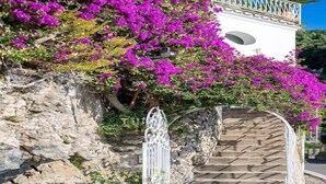 A staircase leading up to a white building with a balcony, surrounded by vibrant purple bougainvillea flowers. - Chic Hideaway in Positano (Positano)