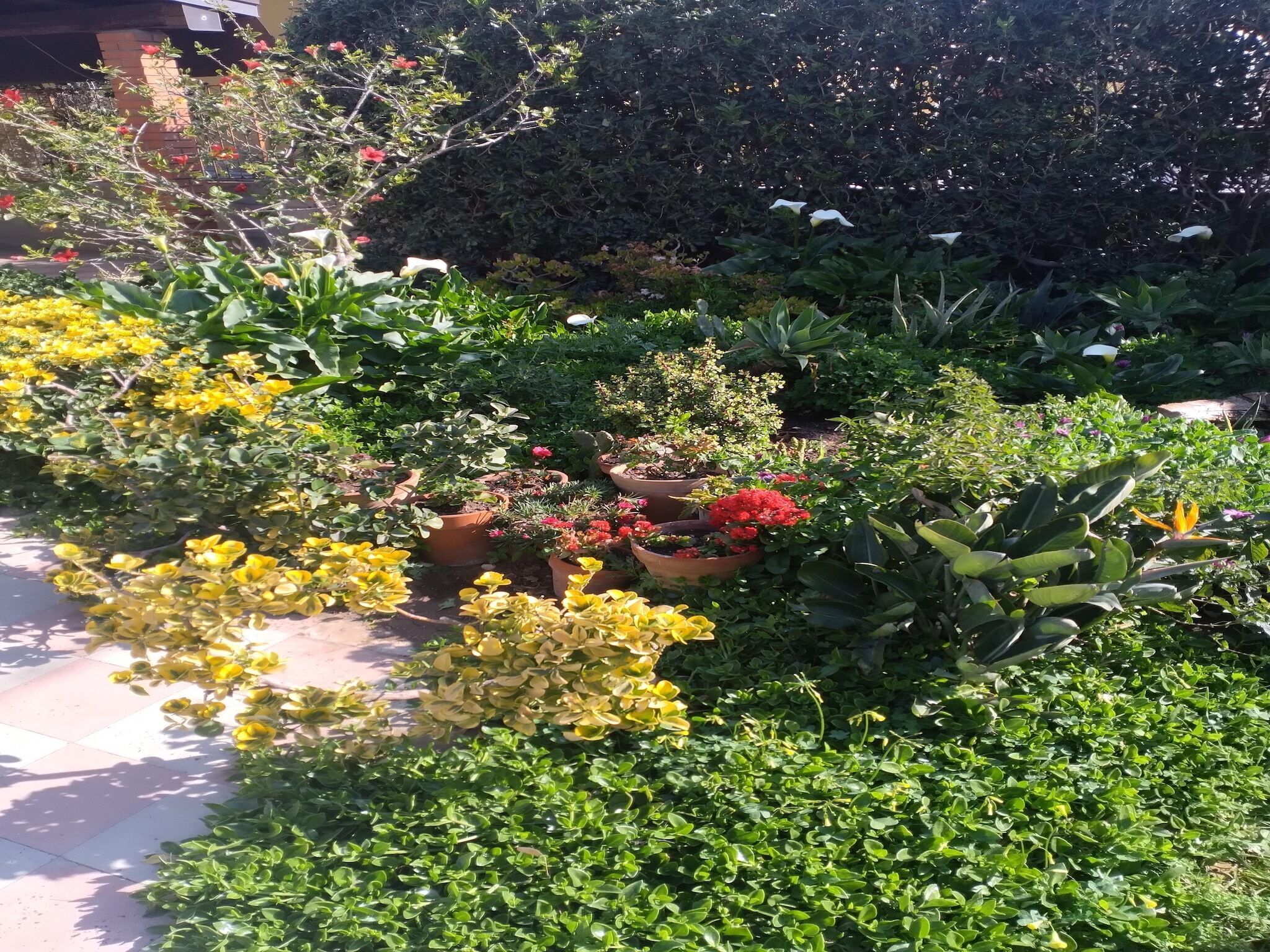 Parco della struttura