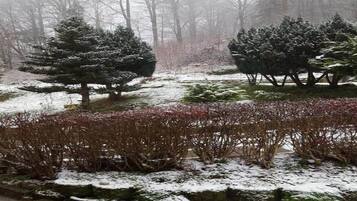 Overnatningsstedets område