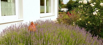 Ferienwohnung in Löwensen mit eigener Terrasse