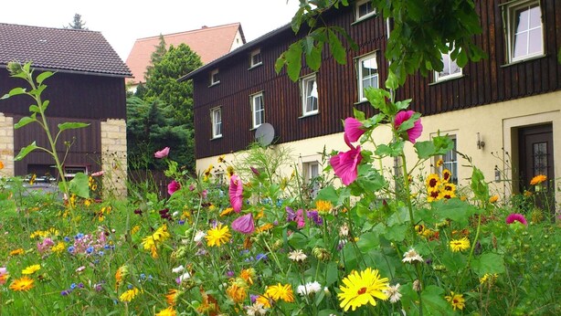 Uklassifisert bilde, 1 av 40, knapp