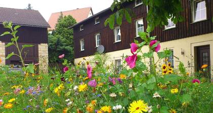 chicke Ferienwohnung in Struppen