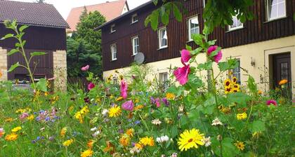 Sächsischer Familienurlaub, Struppen