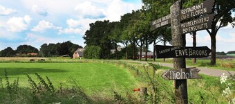 Spacious farmhouse in Achterhoek with play loft