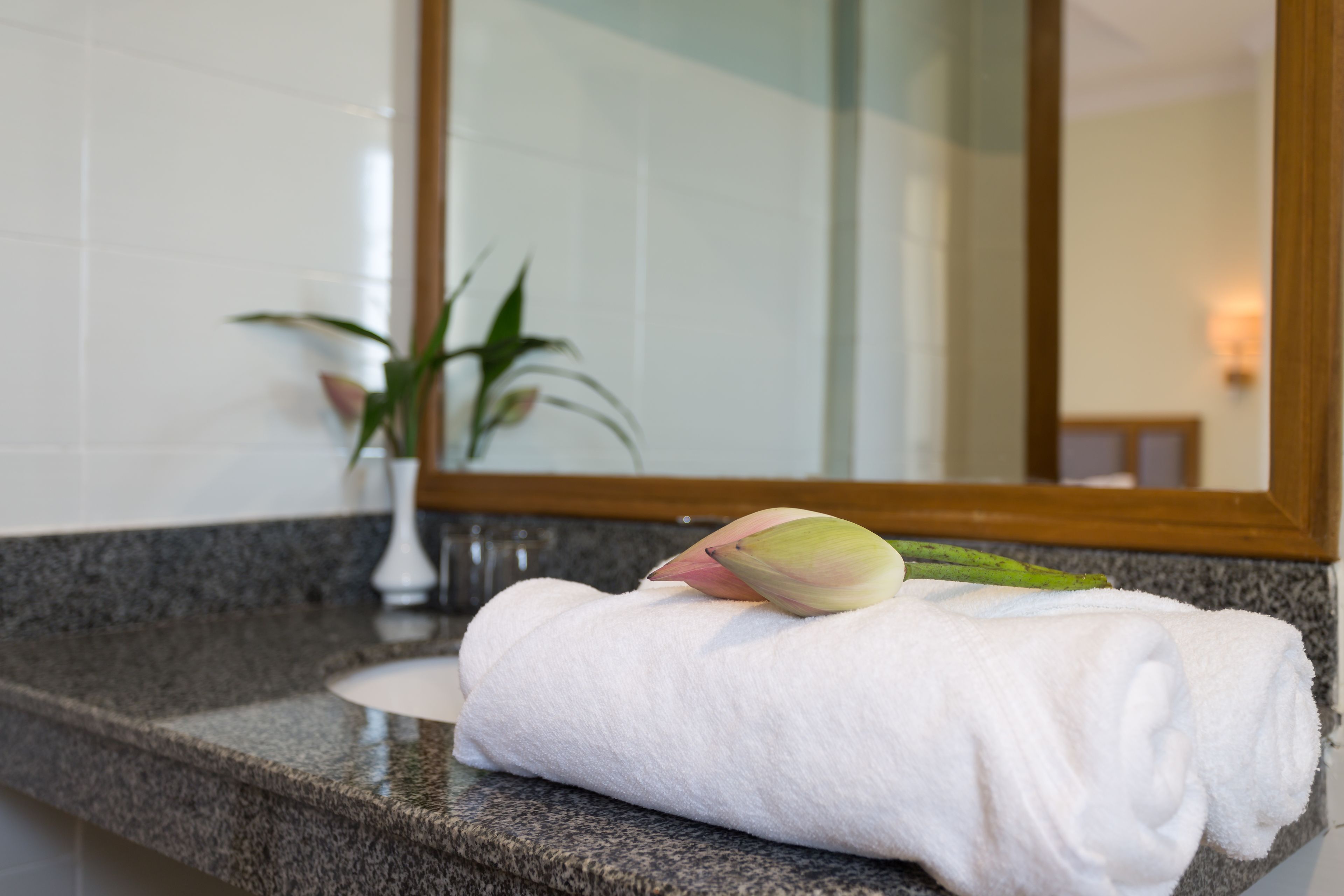 combined shower/bathtub, deep-soaking bathtub, free toiletries