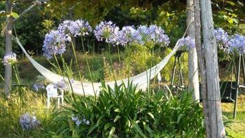 Àrea exterior de l'allotjament