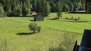 Ländliche Landschaft mit Scheune, offenen Feldern und einem bewaldeten Gebirgszug.