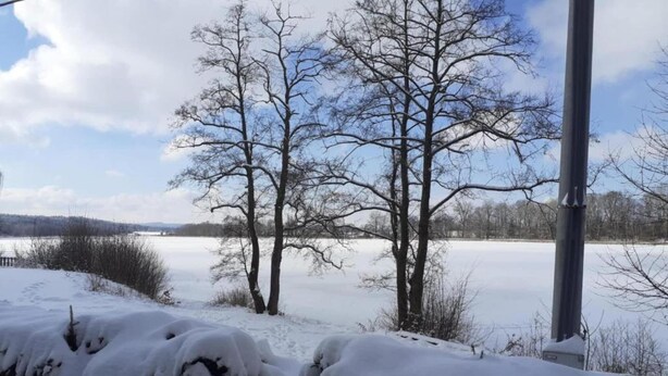 A snowy landscape with bare trees and a clear sky. - Holiday Home in Forest with Private Pool (Petrohrad)