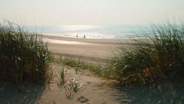 A beach path leading to the ocean with sparse vegetation on either side. - Holiday Home in Egmond near the Beach (Egmond aan zee)