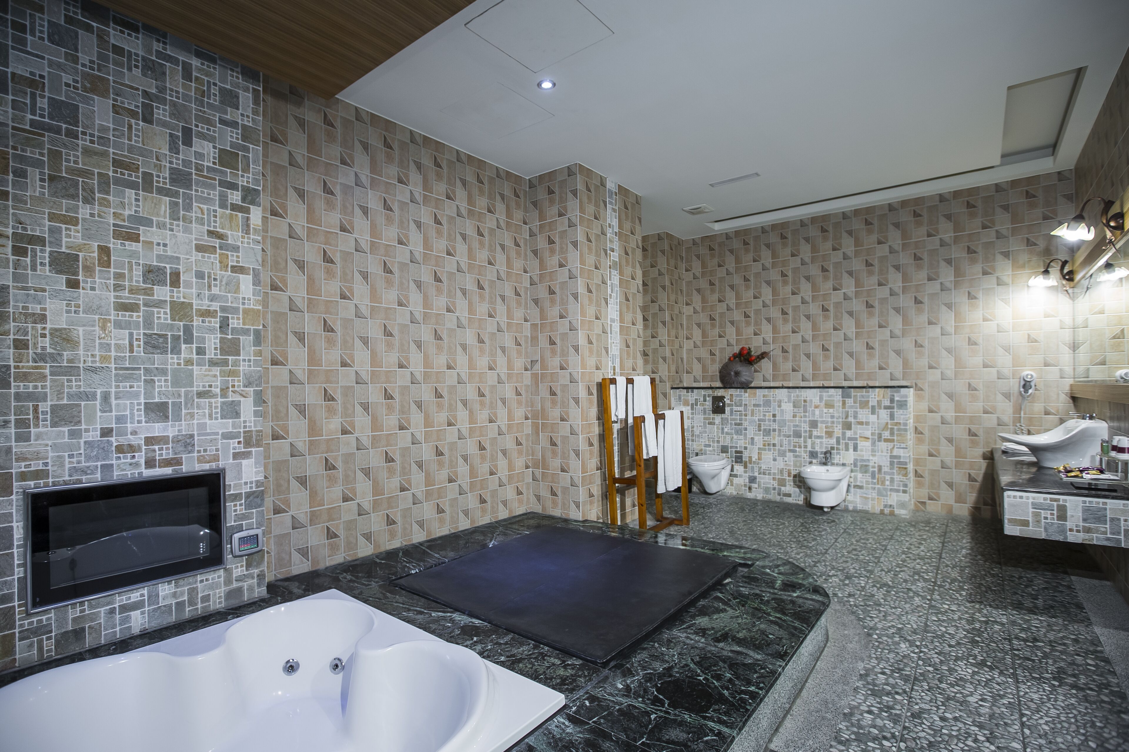 A modern bathroom with a large bathtub, a shower area, and a toilet.