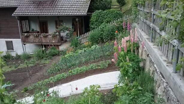 Un jardín residencial con diversas plantas y flores, una valla de madera y una casa con techo de tejas.