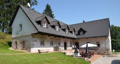 Modern Apartment in Vidochov with Swimming Pool