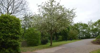 Comfy Apartment in Gransdorf with Garden