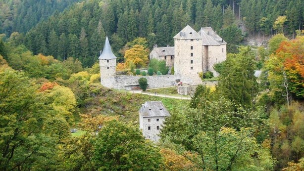 A historic stone castle surrounded by dense forest, with a prominent tower and a smaller building in the foreground.
