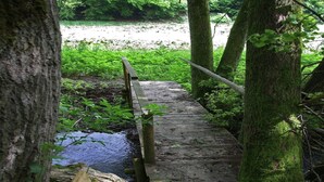 A wooden bridge in a forested area with moss-covered trees and a small stream.