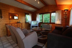 TV connectée, cheminée, chaîne hi-fi