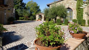A courtyard with stone flooring, potted plants, and stone buildings. - Holiday Home in Montecarelli with Pool (Montecarelli)