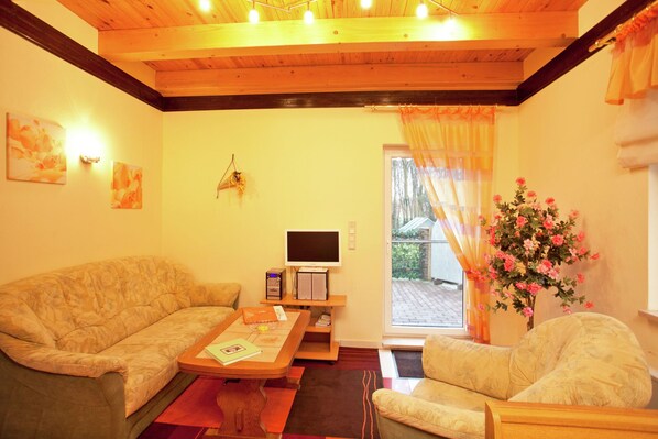 TV, ping pong, stereo