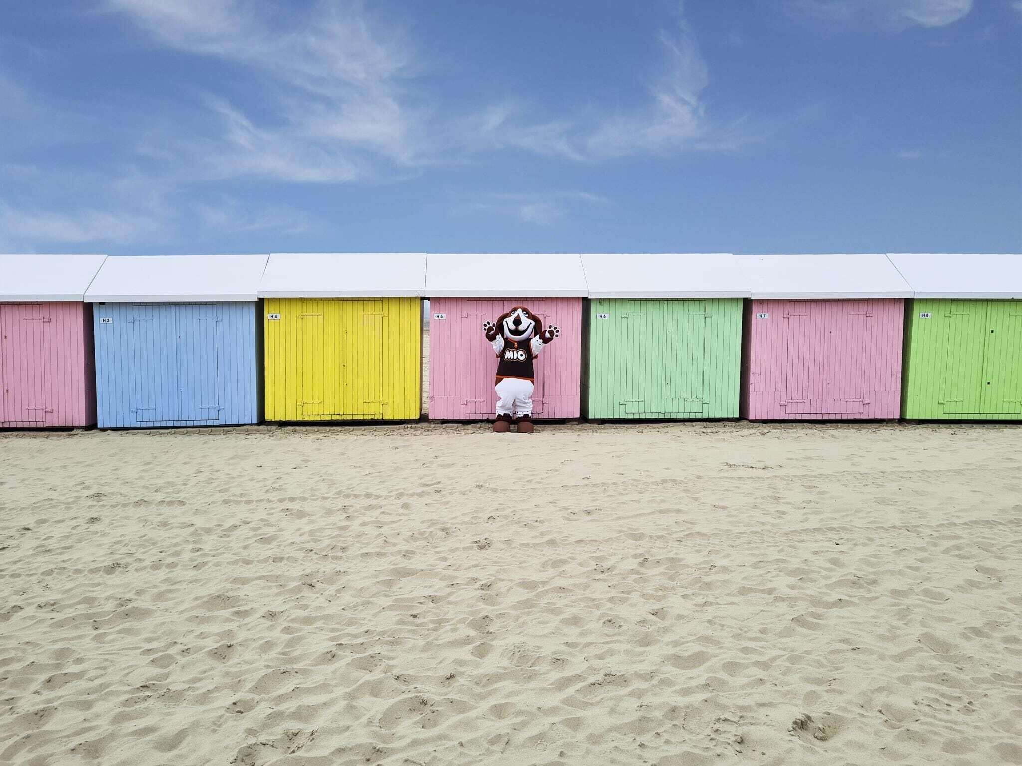 A row of colorful beach huts with a mascot in the center.