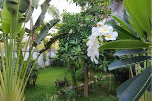 View from property - Hak Boutique Hotel & Resort (Siem Reap)