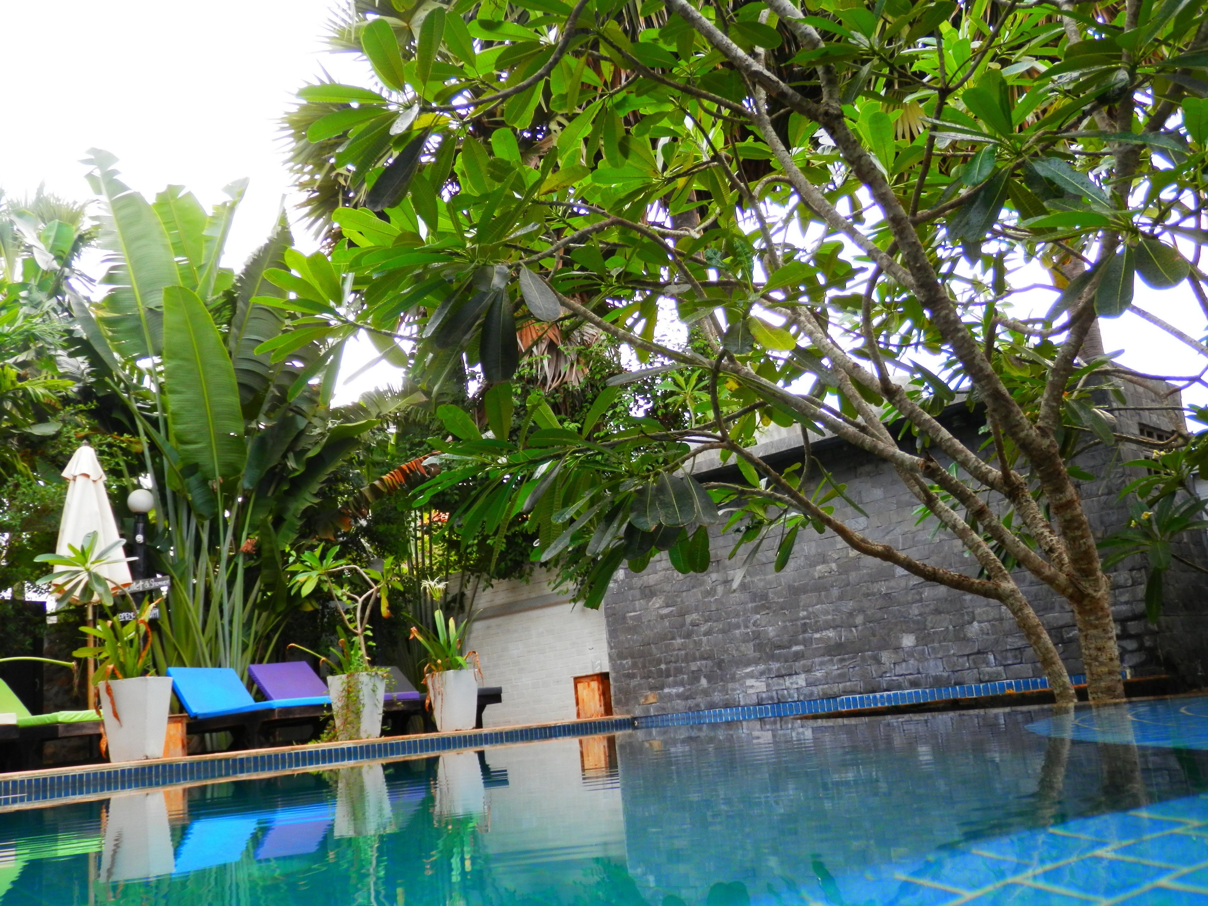 outdoor pool, pool loungers