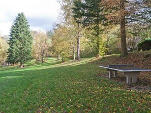 Outdoor dining - Holiday home in Ramsbeck with garden (Bestwig-Ramsbeck)