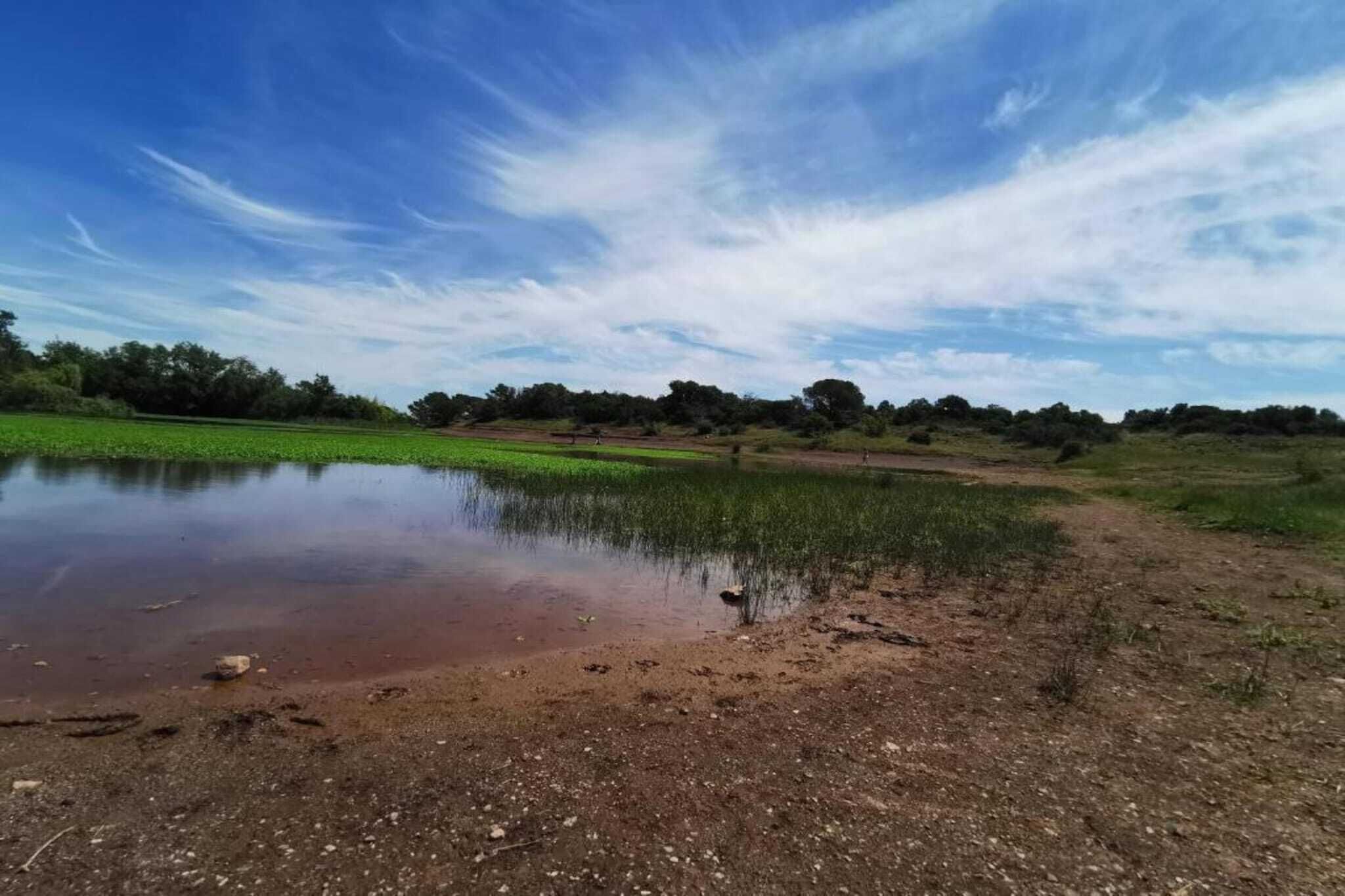 A natural landscape with a pond, green fields, and trees under a clear sky.