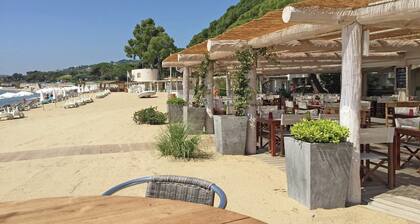 Villa à Vidauban avec piscine privée