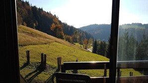 Blick aus einem Gebäude mit einer hölzernen Bank und einer Glastür auf einen grasbewachsenen Hügel mit Bäumen und einem fernen Gebirgszug.