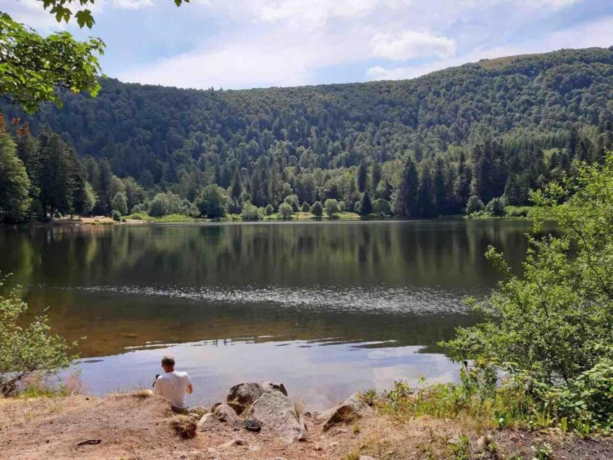 Eine natürliche Landschaft mit einem See, umgeben von dichtem Wald und Hügeln.