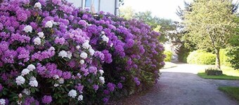 Mansion in Vecoux with Pool and Garden