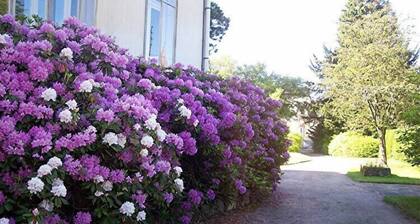 Mansion in Vecoux with Pool and Garden