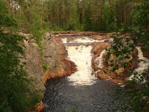 Sekalaista