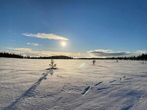 Sekalaista
