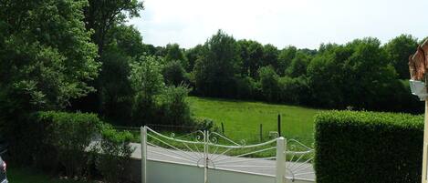 A gated property with a paved pathway leading to a green lawn and dense trees in the background.
