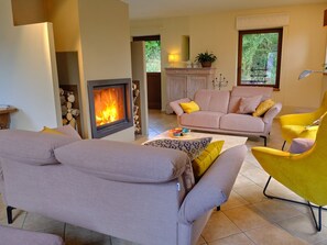 Télévision, cheminée, lecteur de DVD