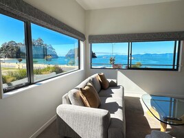 40-英寸纯平电视 （配备卫星频道）、电视