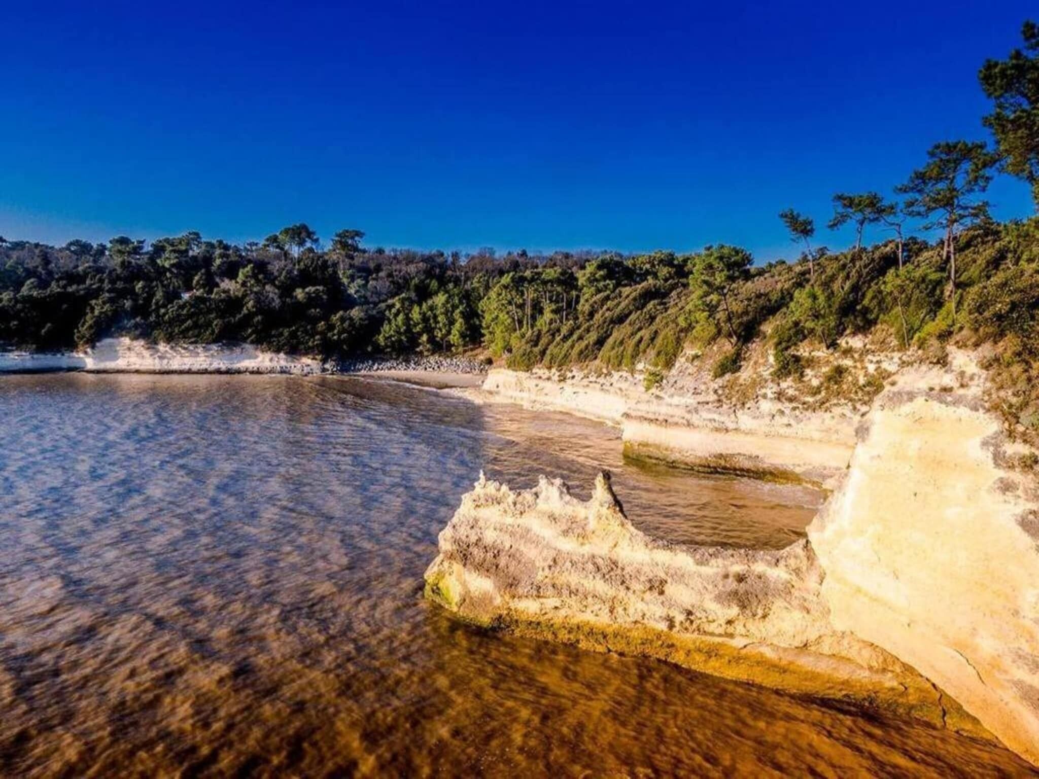 A coastal landscape with clear water, rocky formations, and dense forest.