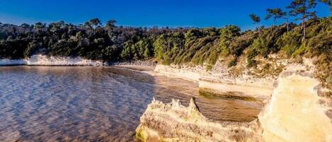 A coastal landscape with clear water, rocky formations, and dense forest.